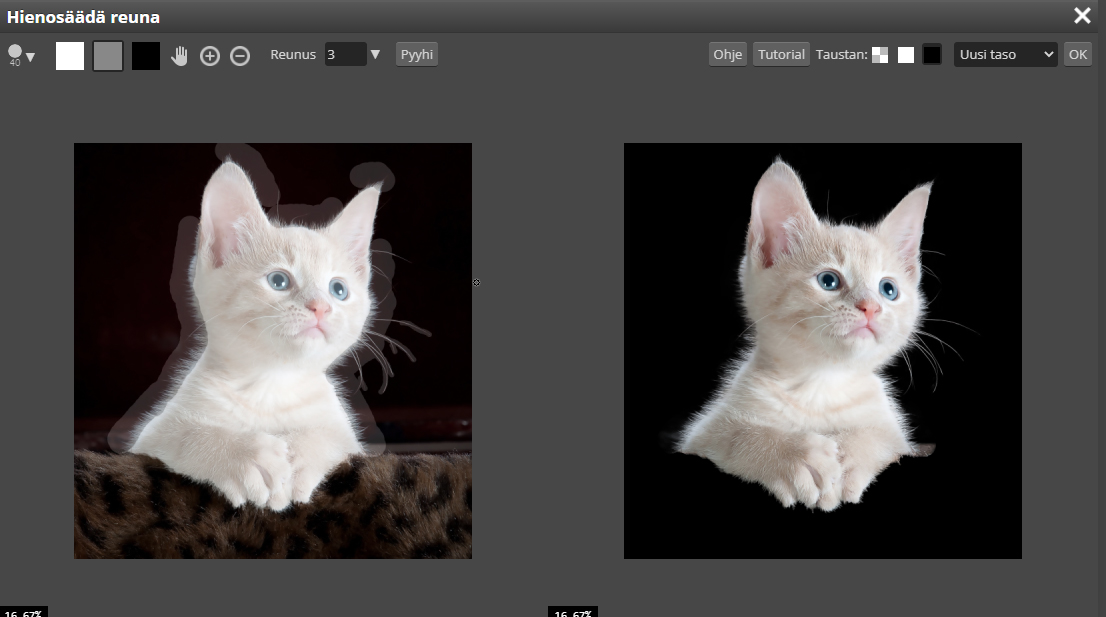 kissa-photopea-1 Kissan syvääminen Photopean Refine Edge reunan hienosäätötyökalulla.