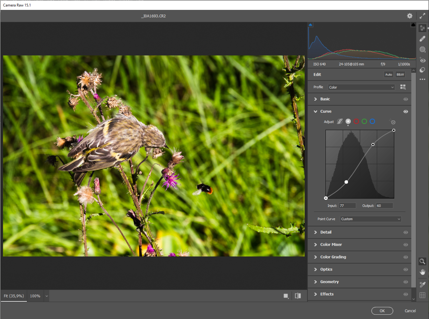 raw-10 S-kurvin lisääminen kuvaan Camera Raw toiminnossa parantaa kuvan kontrastia.