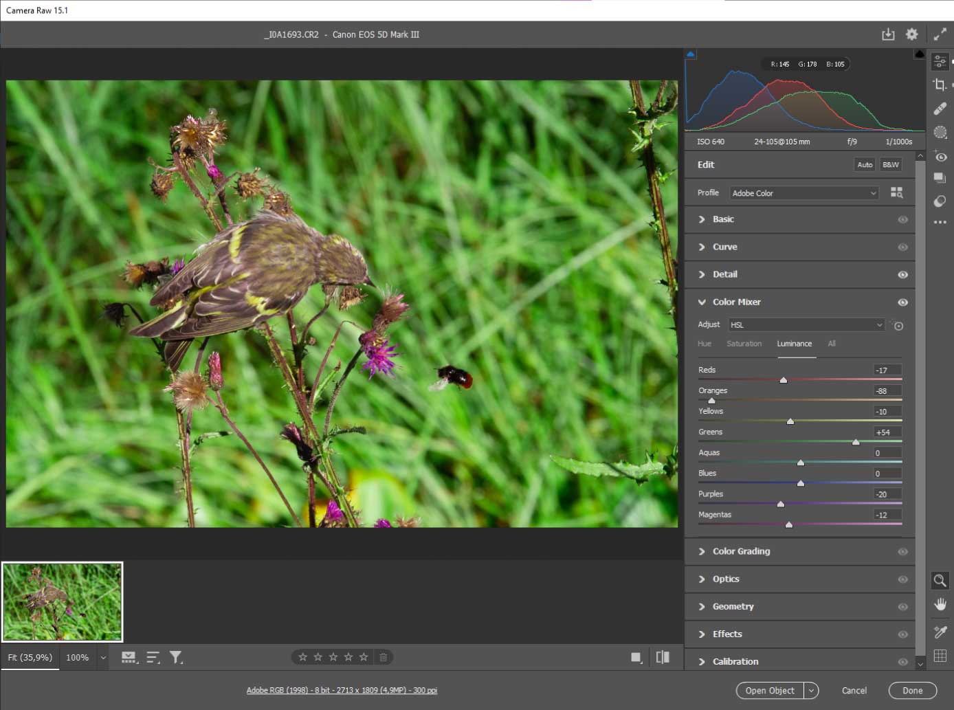 raw-13 Lintukuvan säätäminen Color Mixer-säätimillä Camera Raw -toiminnossa.