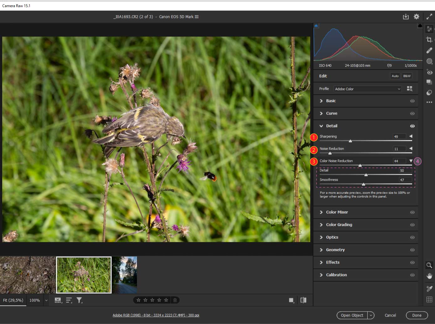 raw-6 Camera Raw Detail-välilehdellä säädetään kuvan terävyyttä ja poistetaan kuvasta rakeisuutta.