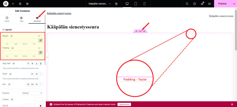 Muokkaa elementin padding tai margin Advanced välilehdeltä.