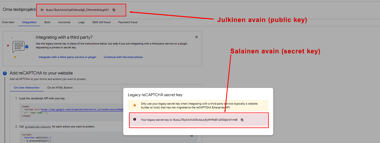 Julkinen ja salainen avain ReCapchassa. Julkinen ja salainen avain ReCapchassa.